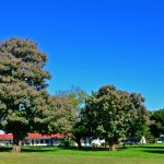 Image of archbishop Luwum college